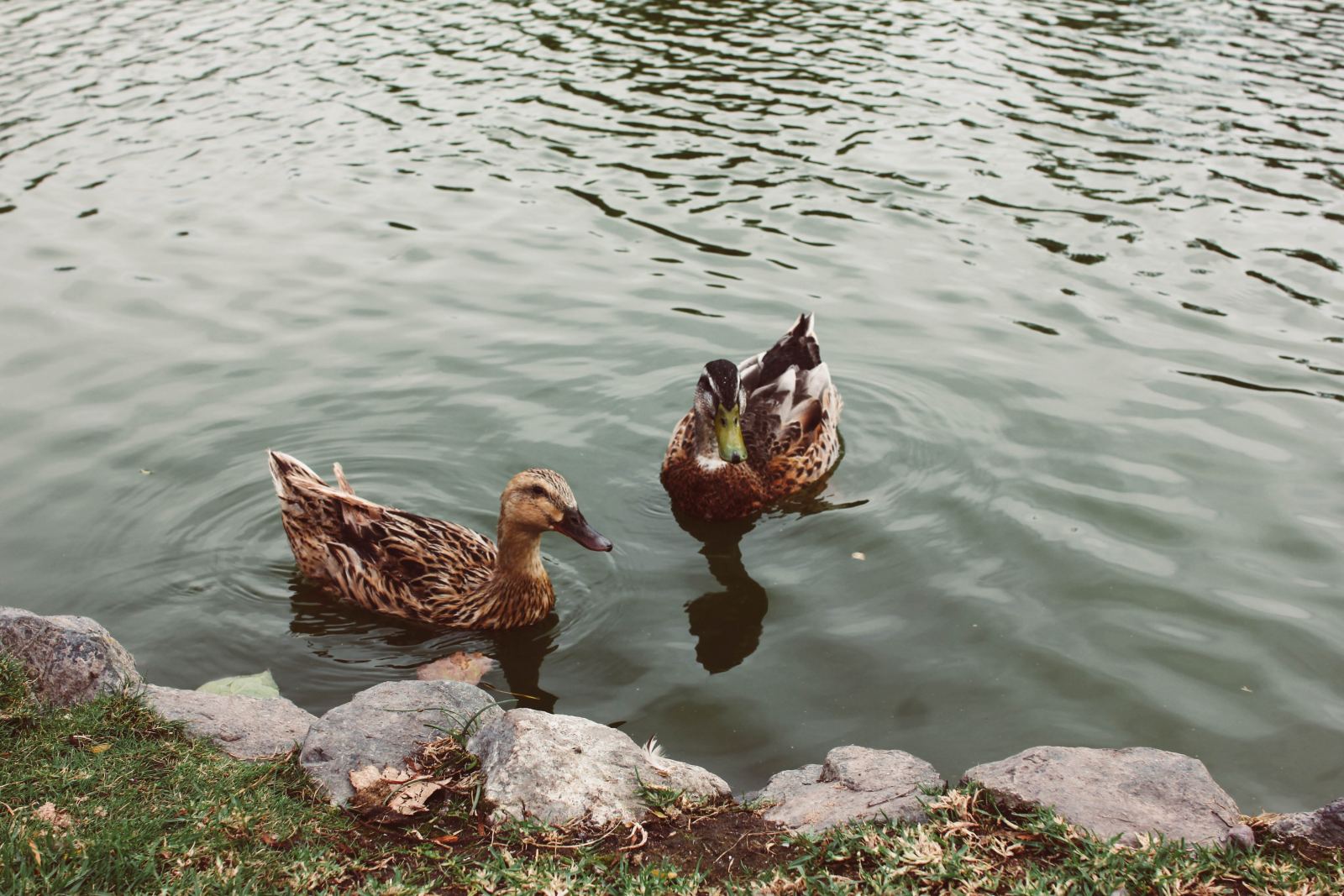 javiera-argandona-aIN3UsyUw18-unsplash