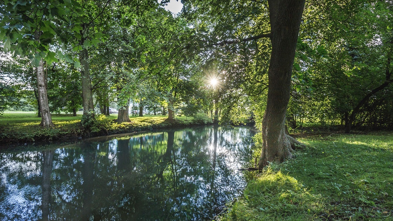 lowenruh_park2