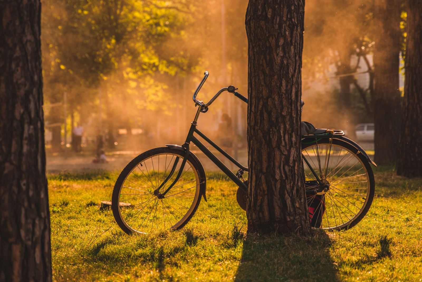 stanislav-kondratiev-6Qa_BGRQBnI-unsplash