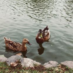 javiera-argandona-aIN3UsyUw18-unsplash