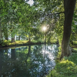 lowenruh_park2
