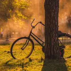 stanislav-kondratiev-6Qa_BGRQBnI-unsplash